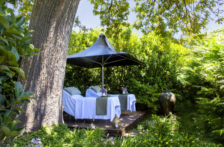 Create magical moments in Constantia