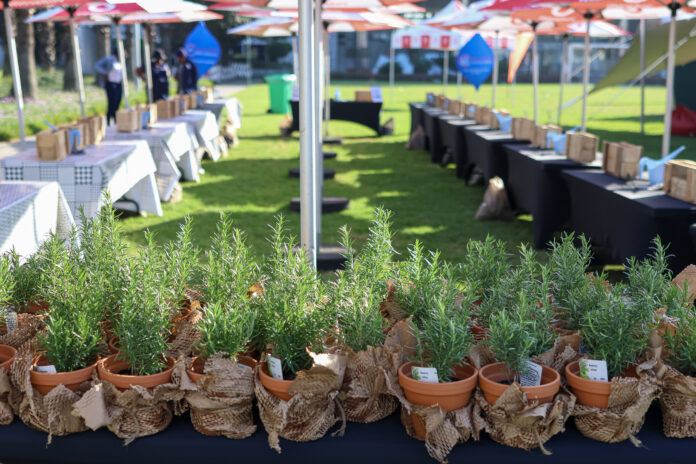 Vodacom celebrate 30 years of loving the planet with a sustainability themed cookoff