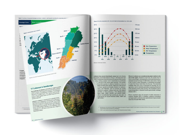 How to Increase the Impact of Your Annual Report Design