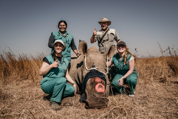 Hands-On Rhino Conservation: Learning at the Frontlines